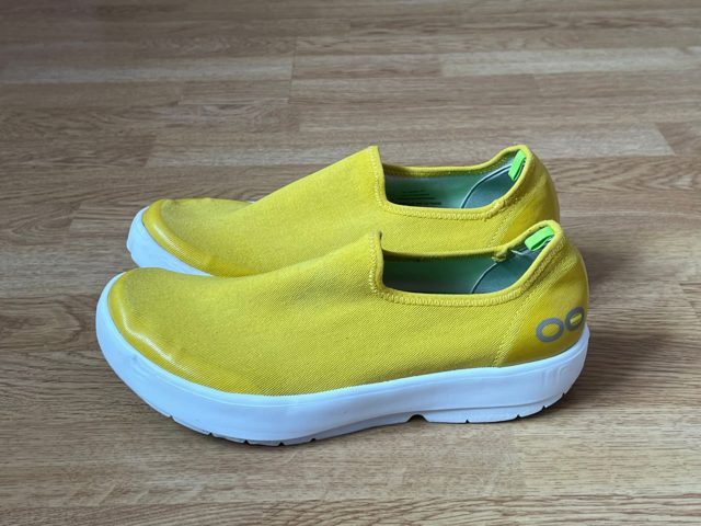Сліпони